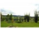 3687 Wingham Road, Comboyne NSW 2429