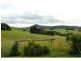 3687 Wingham Road, Comboyne NSW 2429