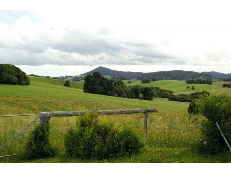 3687 Wingham Road, Comboyne NSW 2429