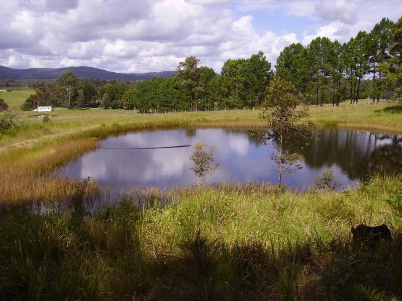 192 Bril Bril Road, Rollands Plains NSW 2441