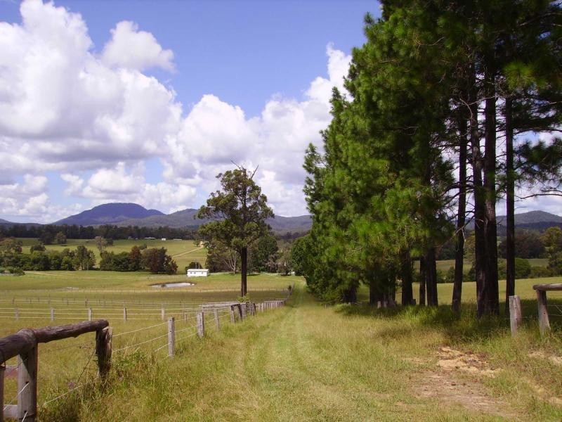 192 Bril Bril Road, Rollands Plains NSW 2441