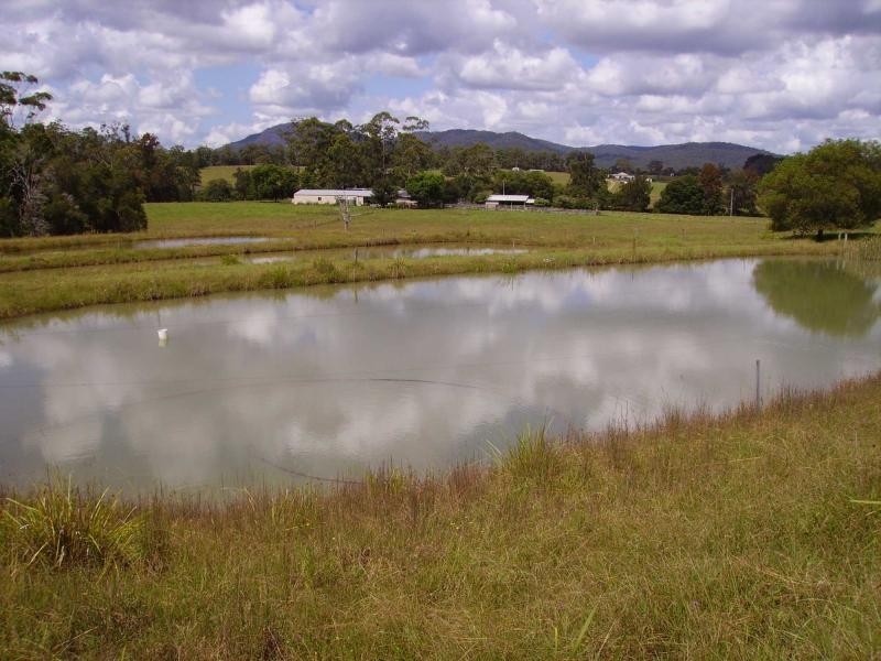 192 Bril Bril Road, Rollands Plains NSW 2441