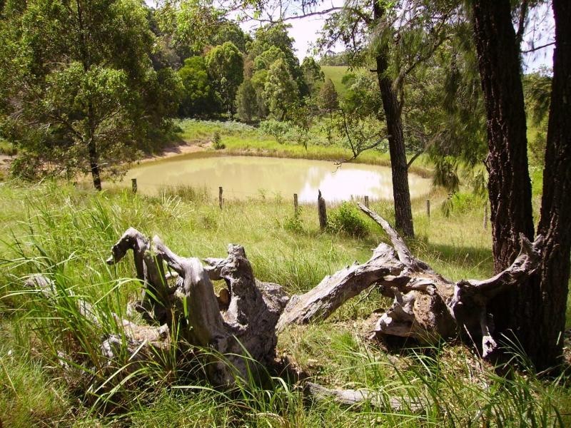 192 Bril Bril Road, Rollands Plains NSW 2441