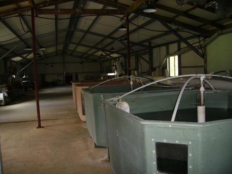 192 Bril Bril Road, Rollands Plains NSW 2441