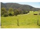 36 Ready Money Road, Rollands Plains NSW 2441