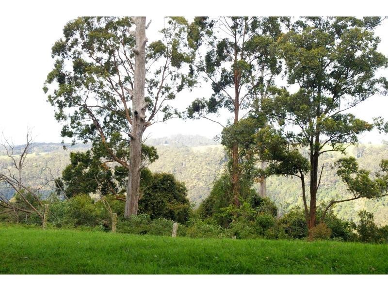 Lot 6 Ducks Ridge Road, Comboyne NSW 2429