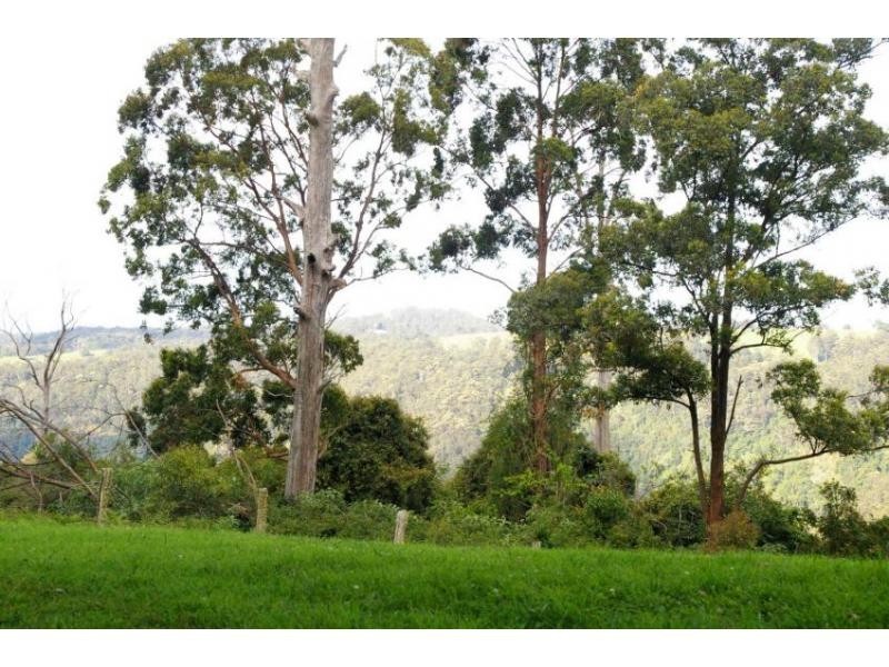 Lot 6 Ducks Ridge Road, Comboyne NSW 2429