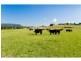 113 Koree Island Road, Beechwood NSW 2446