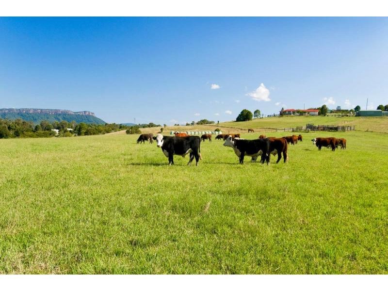 113 Koree Island Road, Beechwood NSW 2446