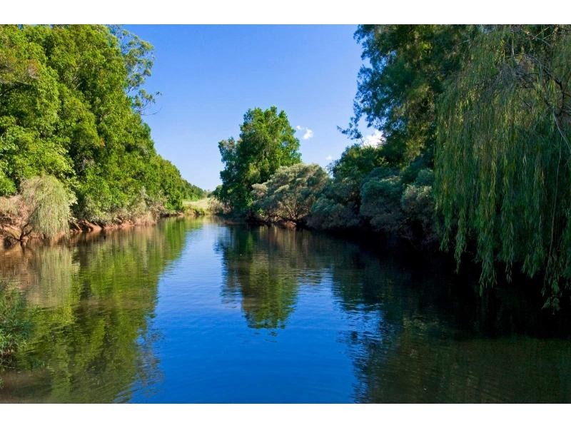 113 Koree Island Road, Beechwood NSW 2446