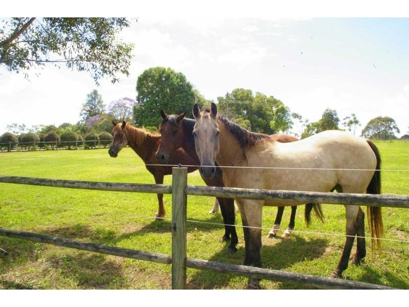 219 Huntingdon Road, Huntingdon NSW 2446