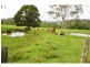 196 Thone River Road, Byabarra NSW 2446