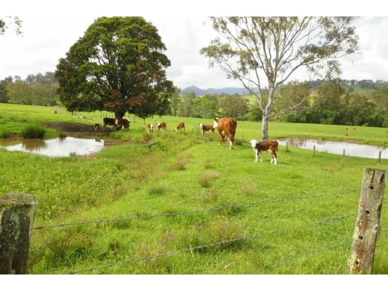 196 Thone River Road, Byabarra NSW 2446
