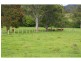 196 Thone River Road, Byabarra NSW 2446