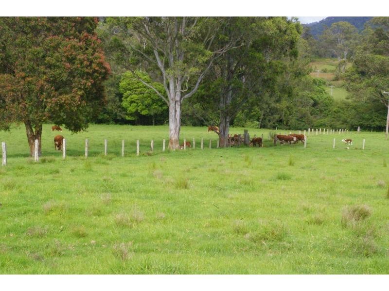 196 Thone River Road, Byabarra NSW 2446
