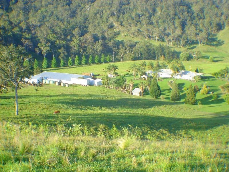 422 Rushes Creek Road, Ellenborough NSW 2446