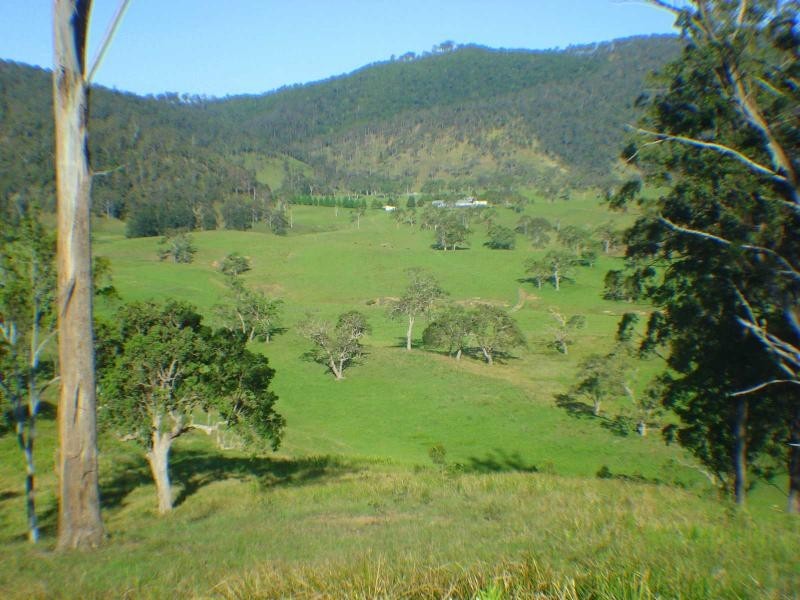 422 Rushes Creek Road, Ellenborough NSW 2446