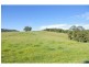 99 Cowal Creek Road, Bellangry NSW 2446