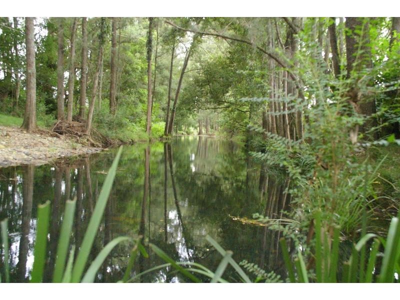 99 Cowal Creek Road, Bellangry NSW 2446