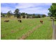 295 Rosewood Road, Wauchope NSW 2446