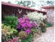 18 Bunderra Drive, Beechwood NSW 2446
