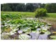 18 Bunderra Drive, Beechwood NSW 2446