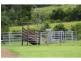 91 Willow Glen Road, Kindee NSW 2446