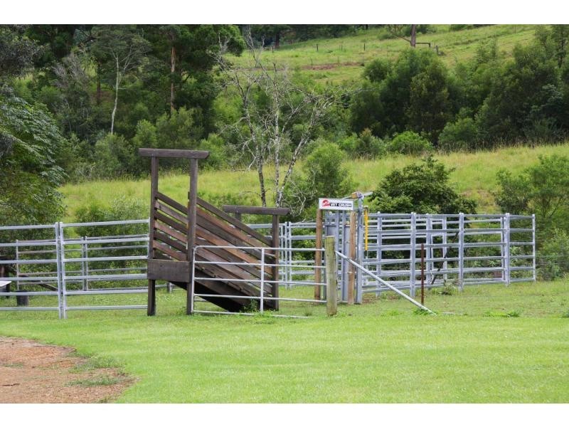 91 Willow Glen Road, Kindee NSW 2446