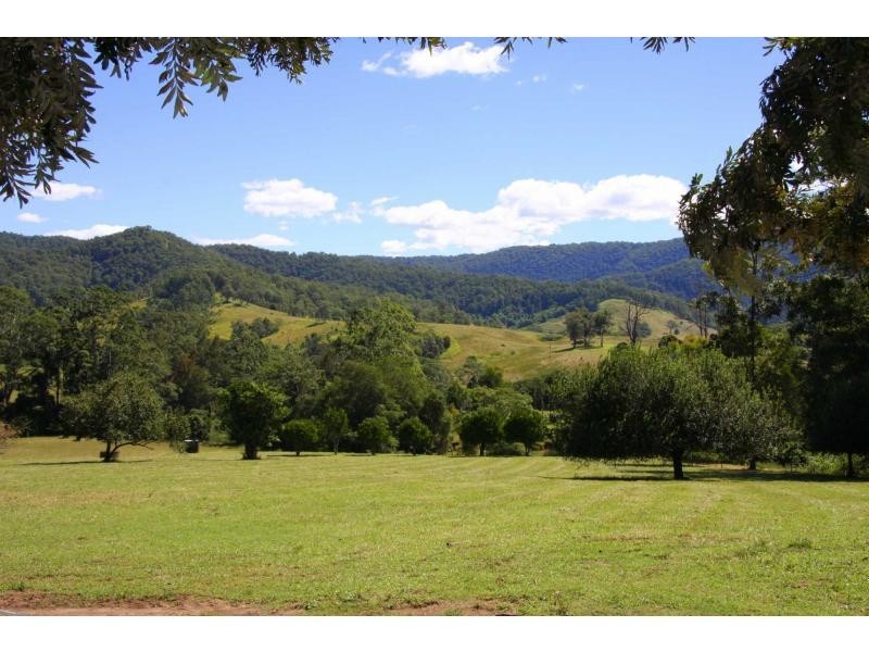 91 Willow Glen Road, Kindee NSW 2446