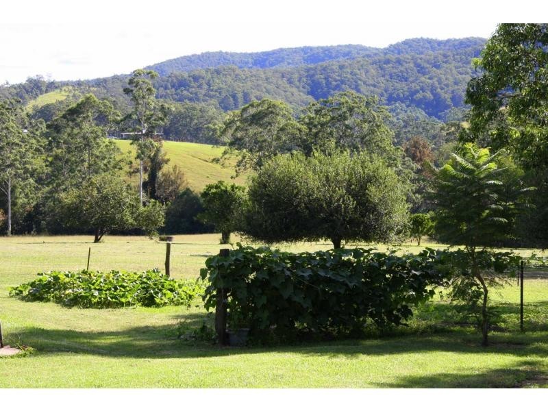 91 Willow Glen Road, Kindee NSW 2446