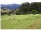 91 Willow Glen Road, Kindee NSW 2446