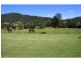 91 Willow Glen Road, Kindee NSW 2446