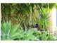 46 Pead Street, Wauchope NSW 2446