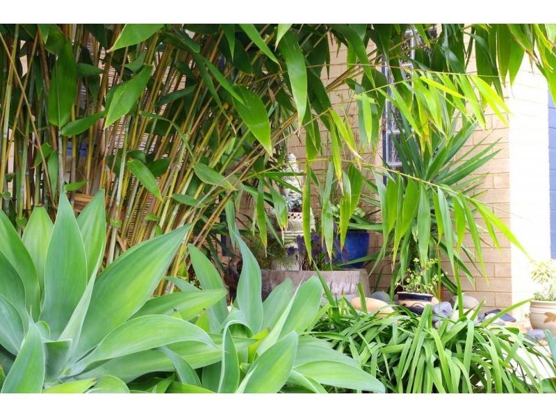 46 Pead Street, Wauchope NSW 2446