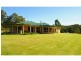 556 Bellangry Road, Beechwood NSW 2446