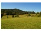 556 Bellangry Road, Beechwood NSW 2446
