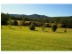 556 Bellangry Road, Beechwood NSW 2446