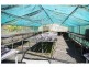 3199 Oxley Highway, Huntingdon NSW 2446