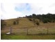 5201 Oxley Highway, Long Flat NSW 2446