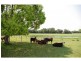 9 Ennis Road, Wauchope NSW 2446
