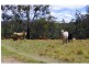 702 D Comboyne Road, Byabarra NSW 2446
