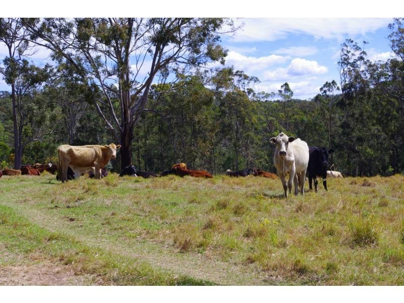 702 D Comboyne Road, Byabarra NSW 2446