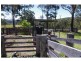 702 D Comboyne Road, Byabarra NSW 2446