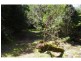 702 D Comboyne Road, Byabarra NSW 2446