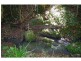 702 D Comboyne Road, Byabarra NSW 2446