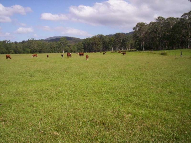 L59 / 258 Waterhole Road, Rollands Plains NSW 2441