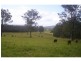 L59 / 258 Waterhole Road, Rollands Plains NSW 2441
