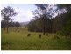 L59 / 258 Waterhole Road, Rollands Plains NSW 2441