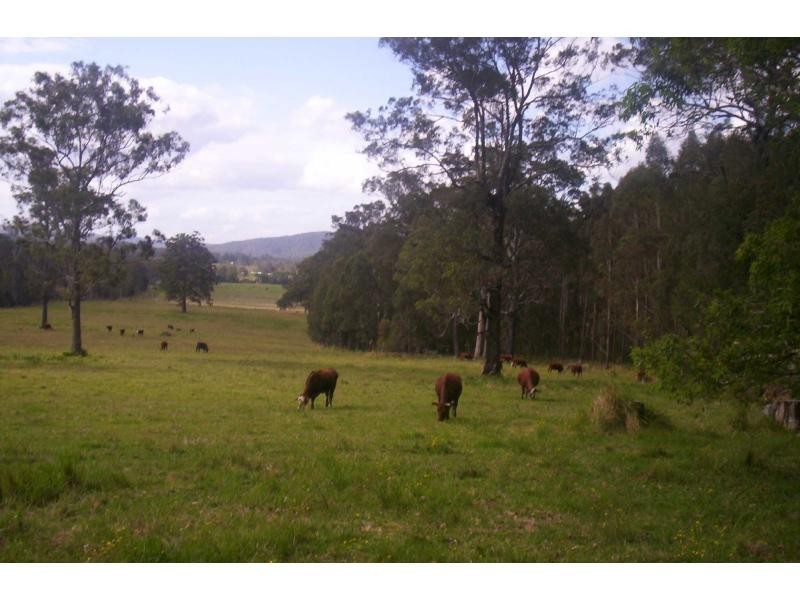 L59 / 258 Waterhole Road, Rollands Plains NSW 2441