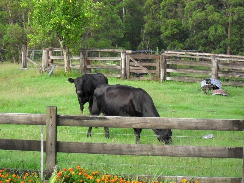 317 Rollans Road, Birdwood NSW 2446